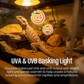 CALPALMY 4-Pack 50W UVA+UVB Bulbs | Heat and Light for Reptiles and Amphibian Tanks, Terrariums and Cages | Works with V