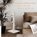 MECOOL 34” Tall Cat Scratching Post Premium Basics Kitten Scratcher Sisal Scratch Posts Trees with Hanging Ball for Indo