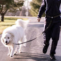 Caldwell's Pet Supply Co. Hands-Free Dog Leash, Adjustable Waist Leash for Dog Walking, Non-Bungee, Hands Free Harness, 