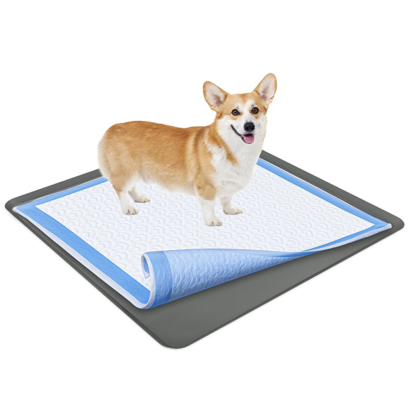 TidyFriend Dog Pee Pad Holder Tray Fits for 36” x 36” Wee Wee Pee Pads - Stable Grip, Raised Edges, Quick-Wipe Silicone Surface Dog Potty Tray Holder for Indoor Flooring Protection (Grey)