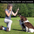Dog Whistle 2 Pack Adjustable Ultrasonic Silent for Barking & Recall Training