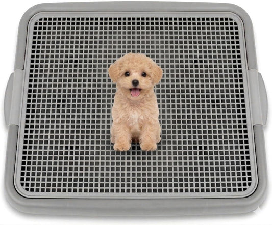 UPIT Puppy Potty Tray with Mesh – Dog Pee Pad Holder for Small Dogs & Puppies, Indoor Dog Potty Training Toilet, Plastic Leak-Proof Dog Potty Tray (Small - 20 x 16 in)