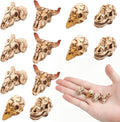 CCINEE 12 Pcs Mini Resin Animal Skull Heads in 4 Styles, Realistic Hand-Polished Skull Figurines for Halloween Decor, Aq