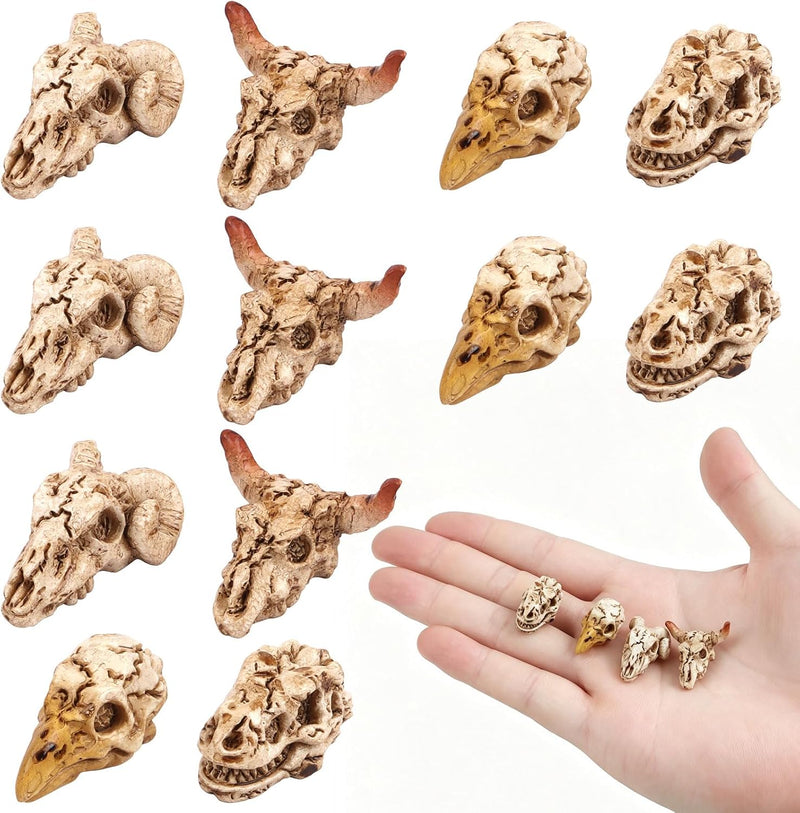 CCINEE 12 Pcs Mini Resin Animal Skull Heads in 4 Styles, Realistic Hand-Polished Skull Figurines for Halloween Decor, Aq