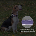 PenSeepet Reflective Dog Collar Padded with Soft Neoprene Breathable Quick Release Basic Dog Collars for Medium Dogs Purple Girl