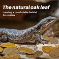 MAQIHAN 5oz Oak Leaf Litter - Dry Substrate for Reptiles Isopod & Bioactive