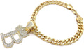 Initial Letter Cuban Chain Dog Chain Pet Chain Pet, Cat, Puppy Necklace (B, 22")