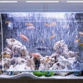 Quickun Aquarium Air Stone Bubble Wall Tube Oxygen Diffuser Bar Decor Accessory for Fish Tank 23 Inch Length,1PCS
