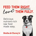 Stella 3.5Lb Raw Coated Puppy Kibble