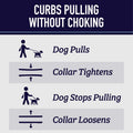 Leash Boss Martingale Collar for Dogs - Steel Chain | Reflective Nylon Dog Collar for Large Dogs, Medium and Small Dogs 