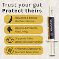 Horse Digestive Support System | Emergency & Daily GI Balance | Probiotic Prebiotic Formula | for Colic Gas Diarrhea & S