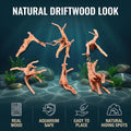 1 Pc Natural Driftwood for Aquarium, Reptile Branches Terrarium Wood Aquarium Trunk Driftwood Tree Fish Tank Log Decorat