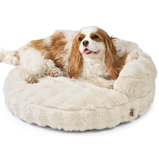 EHEYCIGA Soft Cat Couch Bed for Indoor Cats, Fluffy Small Dog Bed with Removable Washable Cover, Bolster Pet Sofa, Waterproof and Non-Slip, 23" x 23"x 7", Cream