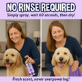 Bodhi Dog Waterless Shampoo - No Rinse Dry Shampoo for Dogs & Cats - Naturally Neutralizes Pet Smelly Odor - Safe for Puppies, Allergies & Sensitive Skin - Made in USA - Lavender (17 Fl Oz)