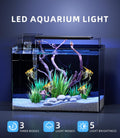 5 Gallon Fish Tank Aquarium Starter Kit with Filter Light Lid Rimless Glass