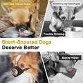 Mayerzon Mesh Muzzle for Short Snout and Small Medium Dogs Anti-Biting