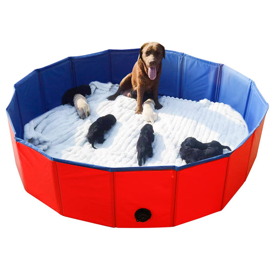 Artilife Whelping Pen for Dogs,Whelping Box for Dogs and Puppies,Dog Birth Supplies,Portable Whelping Pool Whelping Box,Foldable Dog Bath Pool (63inch Dia.x12inch H(160x30cm))