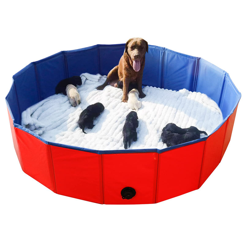 Artilife Whelping Pen for Dogs,Whelping Box for Dogs and Puppies,Dog Birth Supplies,Portable Whelping Pool Whelping Box,Foldable Dog Bath Pool (63inch Dia.x12inch H(160x30cm))