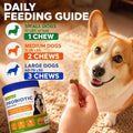 Probiotics for Dogs – Probiotic Chews with 4.8 Billion CFU, Digestive Enzymes & Pumpkin | Dog Gut Health Supplement for Diarrhea, Gas & Sensitive Stomach | Soft Chews for Senior Dogs & All Breeds