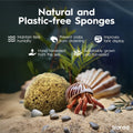 Naroa Natural Hermit Crab Sponges - Pack of 5 | Unbleached Sea Sponge for Water Drinking Safety | Aquarium Decor Balance