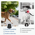 Mayerzon 1.5" Wide Martingale Collar for Small Medium Dogs Precision Fit