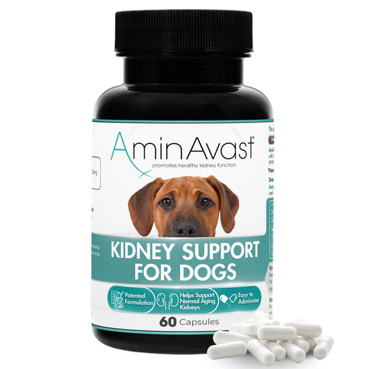 AminAvast Dog Kidney Supplement - Supports Natural Kidney Function - Promotes Health & Vitality of Aging Kidneys - Pet-Friendly, 1000mg, 60 Capsules.