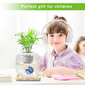 Betta Fish Bowl Glass Small Fish Tank with Bamboo Stand, Plant Propagation Station Hydroponic Terrarium with Lid beta Fi