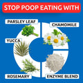 No Poo Chews for Dogs - Coprophagia & Stool Eating Deterrent with Probiotics, Digestive Enzymes & Breath Aid Support - Stop Dog Poop Eating