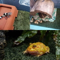 kathson 2 PCS Reptile Carpet Mat Terrarium Bedding Substrate Liner Mat Imitation Rainforest Crawler Mats for Snakes Bear