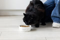 Pearhead Ceramic Meow Cat Bowl, Holds 12 oz, Modern Speckled White