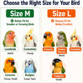 Cockatiel Conure Bird Diaper and Leash Set