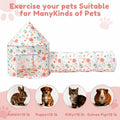 2-in-1 Cat Play Set, Pop-Up Cat Tunnel Rest Hut with Plush Ball Toys