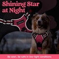 rabbitgoo Dog Harness for Large Dogs, No Pull Pet Vest with 3 Buckles, Adjustable Soft Padded Pet Harness with Easy Control Handle and Reflective Strips, Pink, L