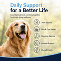 Dog is Multivitamin for Itch Relief, Dog Daily Wellness Chews