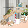 ZooVibe Bird Perches Platform Swing with Climbing Ladder Birds Toys Cage Accessories for Cockatiels, Lovebirds, Pacific Parrotlets,Chinchilla, Hamster Play Gym Exercise Stand