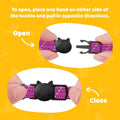 BirdsBeSafe® Break Away Cat Collar with Bell, Reflective Thread for Night Visibility, Comfortable Elastic Stretch Cat Collar to Protect Cat from Getting Stuck in The Garden.