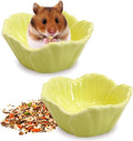 Tfwadmx 2 Pcs Hamster Food Bowl, Ceramic Dwarf Hamster Food Bowl Feeder Water Rat Bowl Small Animal Food Dish for Golden