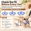 3 Pack Sugar Glider Harness and Leash Set Small Animal Training Walking Vest for Squirrel Hamster Rat Blue