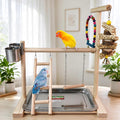 Hamiledyi Bird Playground Parrot Play Stand Parakeet Playground Play Gym with Feeder Cups,Swings, Ladder and Tray, Natural Wood Bird Perch Stand Outside Cage fo