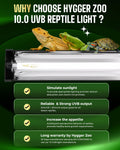 T5 UVB Reptile Light Fixture HO UVB Bulb Lighting Combo Kit 24W Reptile Light Bar Terrarium Hood 10.0 UVB Light Bulb Flu