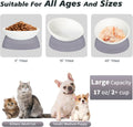 Hi, Ravitat Elevated Cat Bowl, Adjustable Raised Slanted Food Bowl for Cats and Small Dogs, Wide Shallow PP Dish with TPR Non Slip Base, Whisker Friendly, 17 oz