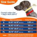 Mayerzon Hidden No Pull Dog Collar for Large Medium Small Dogs, Martingale