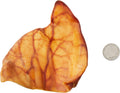Brand - Wonder Bound Whole Pig Ears, Ingredient, Highly Digestible, Dog Treats for Puppy and Large/Medium Dogs, Pork, 12