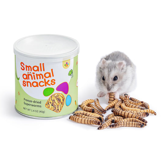 Niteangel Small Animal Snack & Treats - Small Critter Natural Treat for Dwarf Syrian Hamsters Gerbils Mice Sugar Glider Hedgehogs Chickens Birds (Freeze-Dried Worms- 1.4oz (40g))