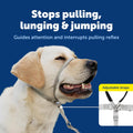 PetSafe Gentle Leader No-Pull Dog Headcollar - The Ultimate Solution to Pulling - Redirects Your Dog's Pulling for Easier Walks - Helps You Regain Control - Large, Black