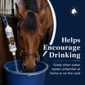 Horse Hydrator Water Filter
