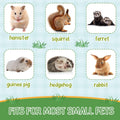Jerify 6 Pcs 3 Layers Hammock Set for Rat, Small Animals