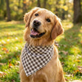 Cotton Linen Dog Bandana 1 Pack, Brown Khaki Gingham Dog Scarf