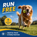 INSUM Tennis Balls for Dogs - 12 Pack 2.5'' Durable Non-Toxic Outdoor Dog Toys Balls with Mesh Bag, SGS Certified, Colorful Fetch Toys, Medium Large Breeds (Non Squeaky)