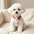 DOGWONG Red White Polka Dot Dog Collar for Small Dogs S